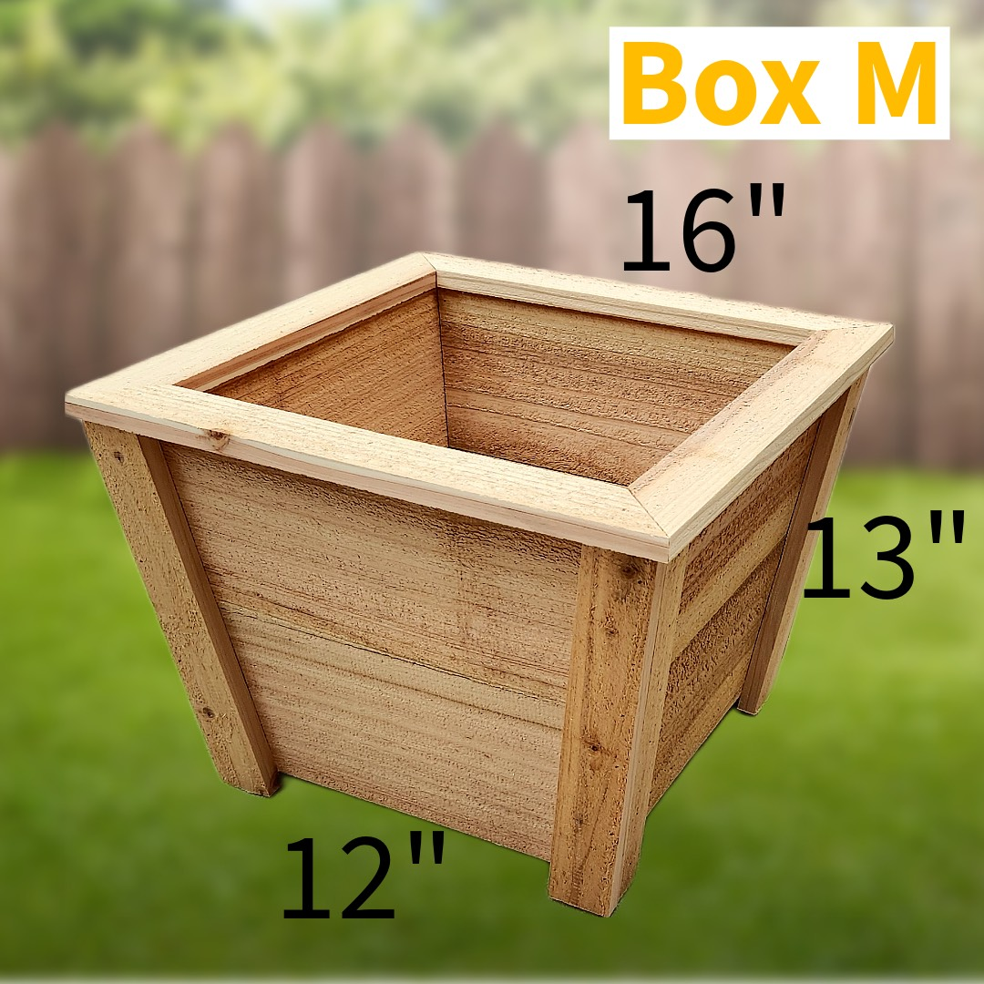 Box M